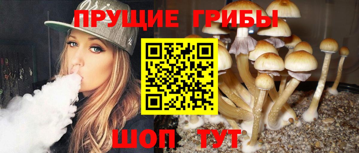 Галлюциногенные грибы GOLDEN TEACHER Ирбит